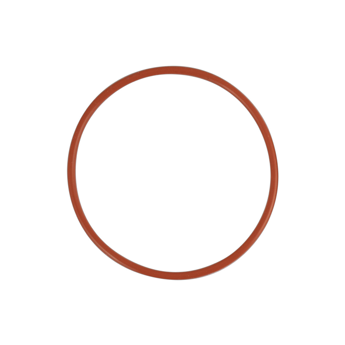 Replacement O-Ring for RipTide Pump