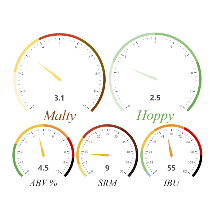 American Ale Beer Kit | 1 Gallon