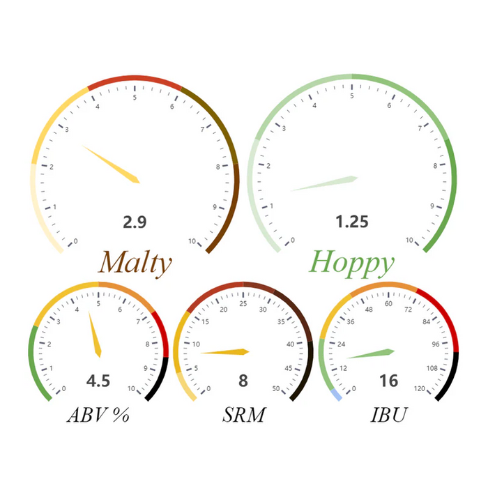 Blonde Ale Beer Kit | 1 Gallon