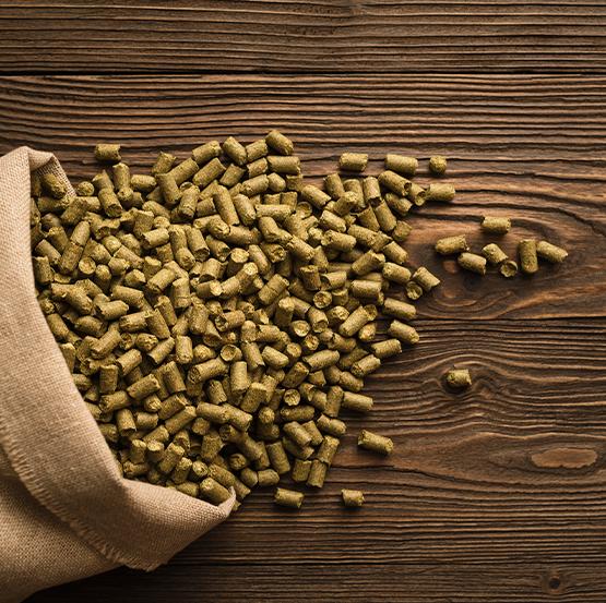 Homebrewing Beer Hops